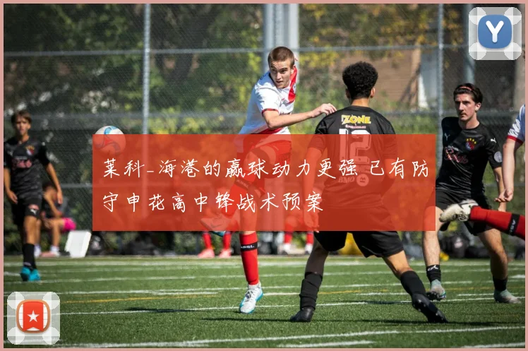 莱科_海港的赢球动力更强 已有防守申花高中锋战术预案