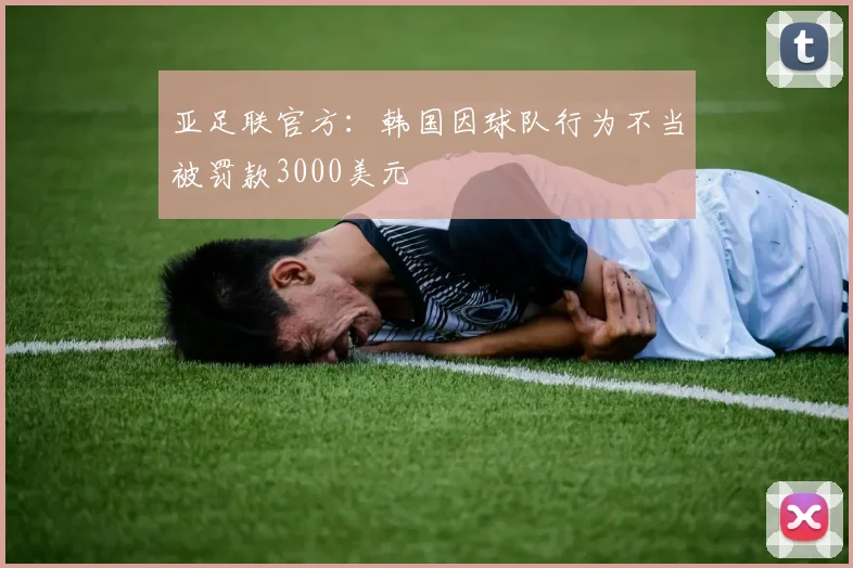 亚足联官方：韩国因球队行为不当被罚款3000美元