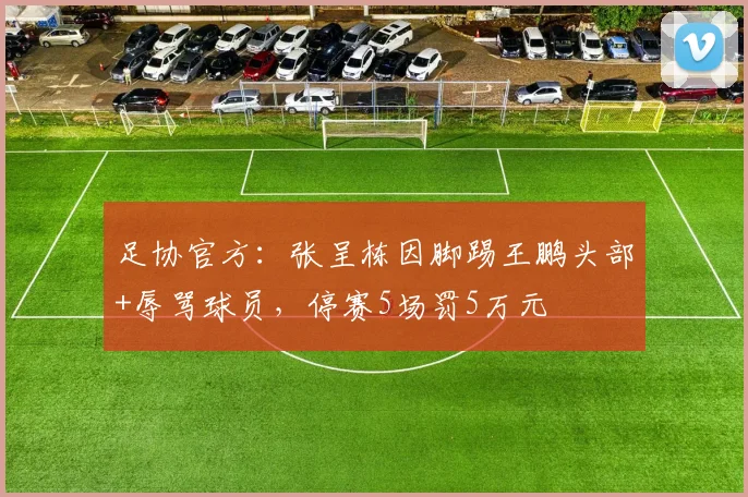 足协官方：张呈栋因脚踢王鹏头部+辱骂球员，停赛5场罚5万元